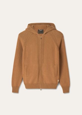 Bombardier Vicuña
