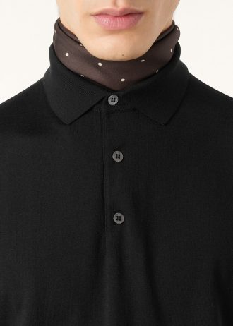 Polo Wish庐