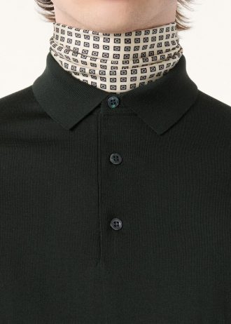 Polo Wish庐